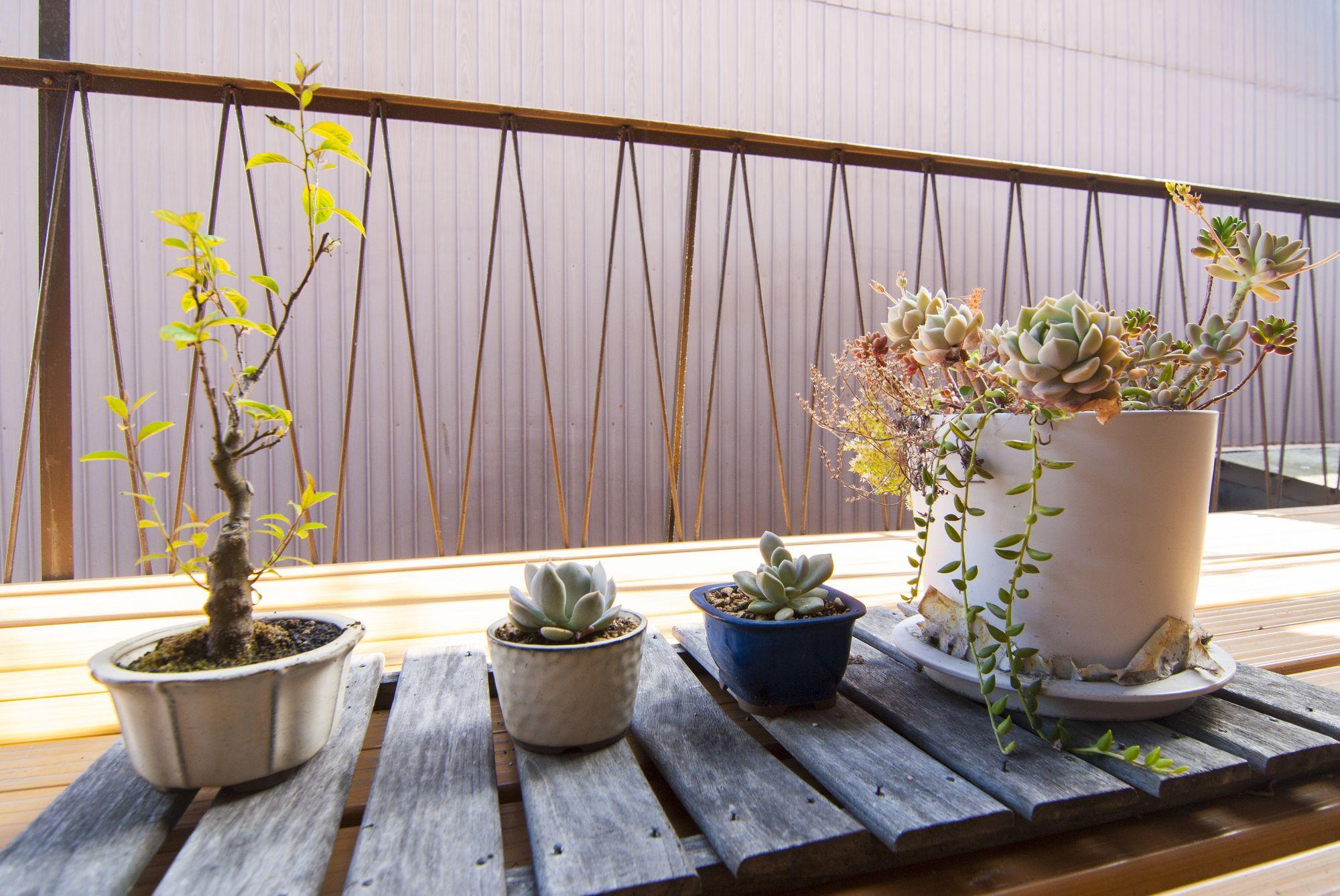 Kyo No Yado Bamboo Town Villa เกียวโต ภายนอก รูปภาพ